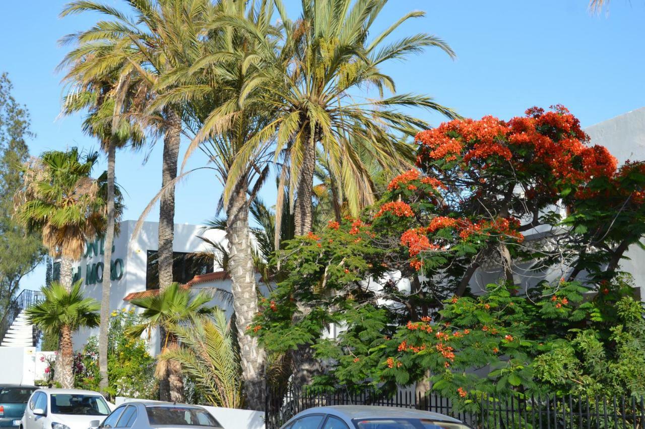 Ocean Loft Apartamento Maspalomas  Exterior foto
